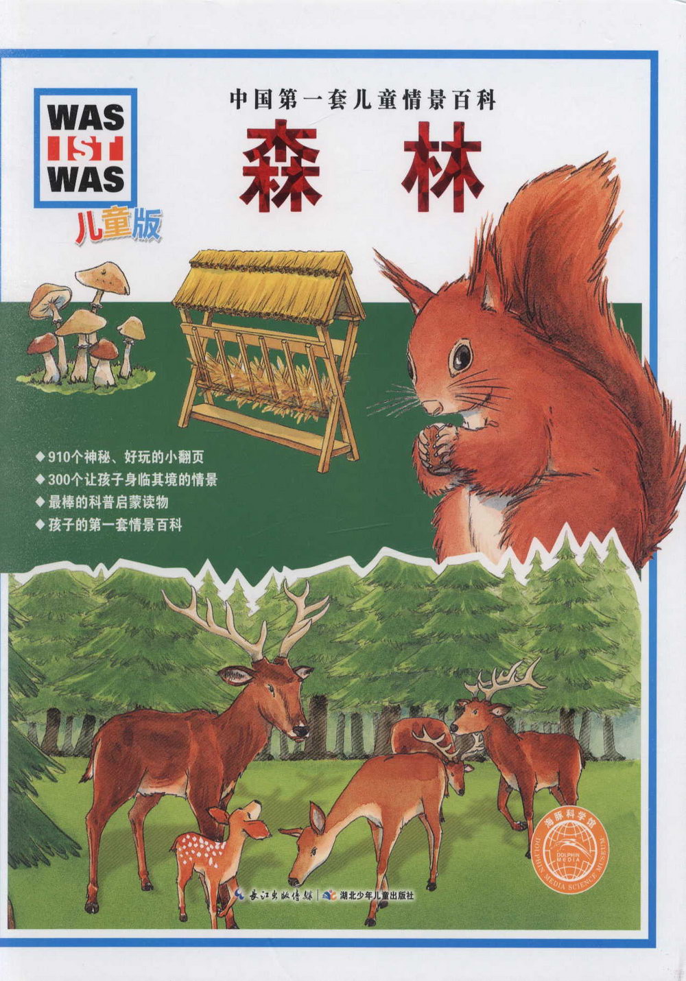中國第一套兒童情景百科：森林（兒童版）