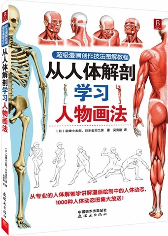 從人體解剖學習人物畫法