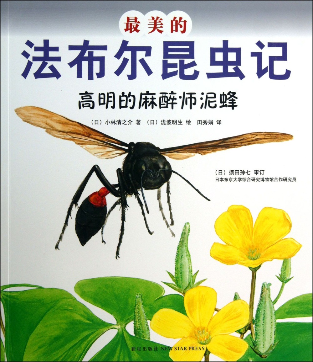 最美的法布爾昆蟲記：高明的麻醉師泥蜂