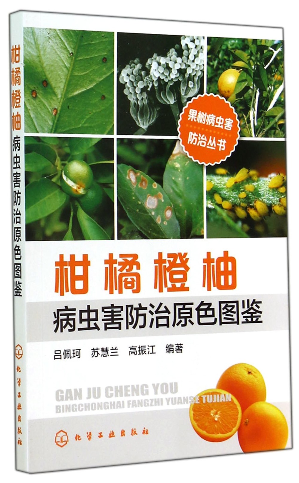柑橘橙柚病蟲害防治原色圖鑒