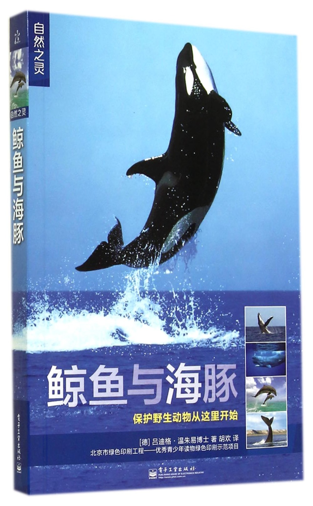 自然之靈：鯨魚與海豚