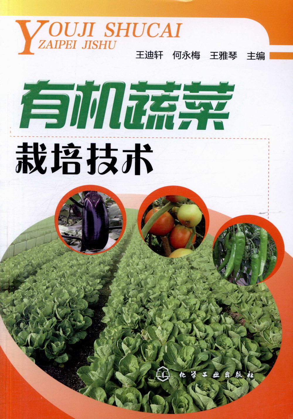 有機蔬菜栽培技術