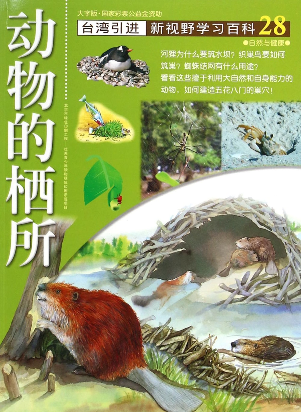 新視野學習百科28：動物的棲所（大字版）
