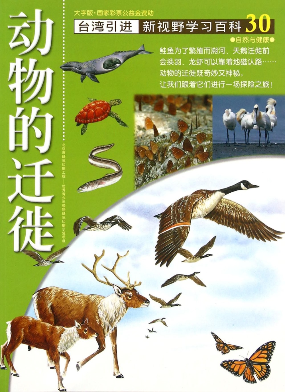 新視野學習百科30：動物的遷徙（大字版）