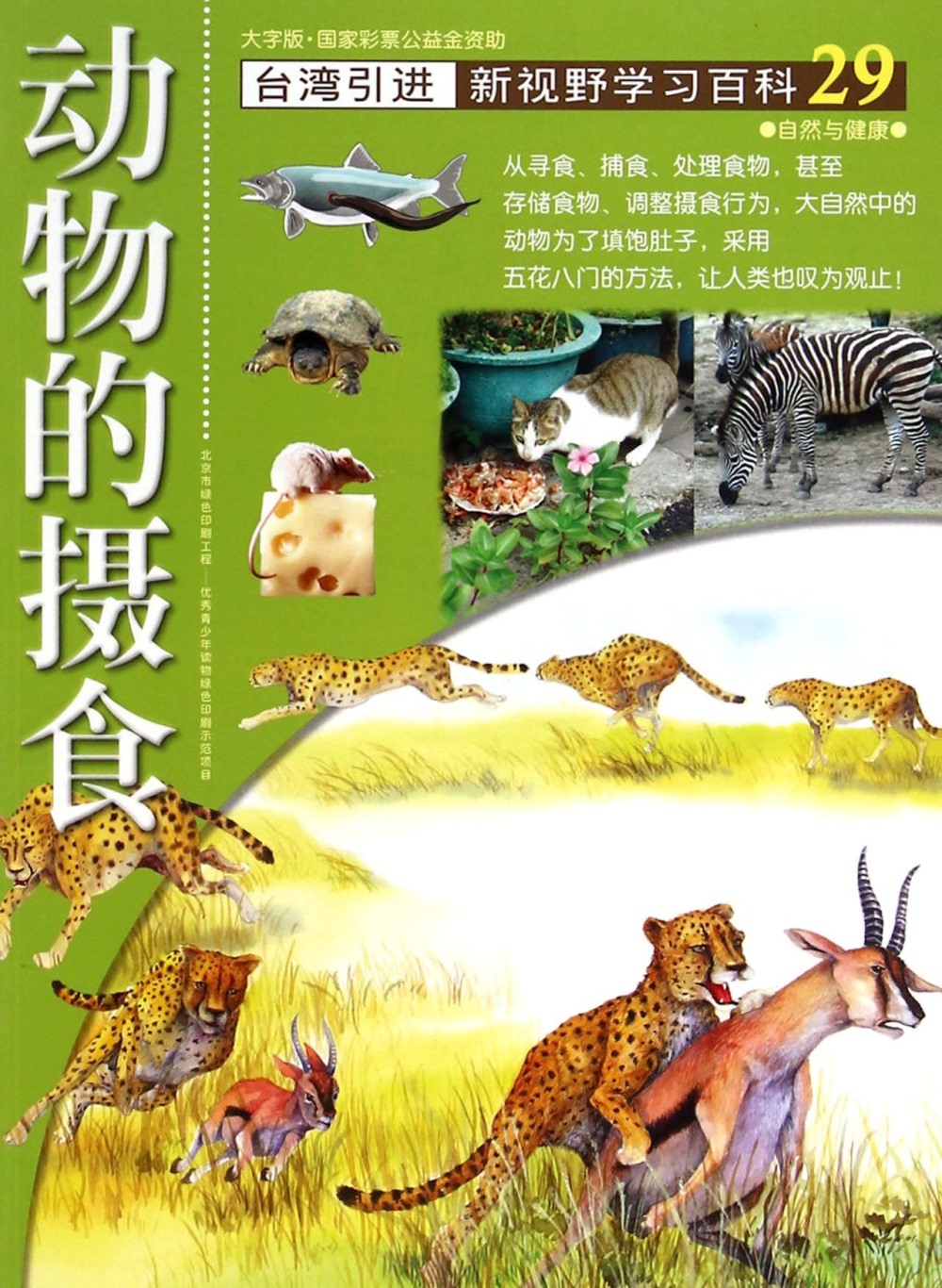新視野學習百科29：動物的攝食（大字版）
