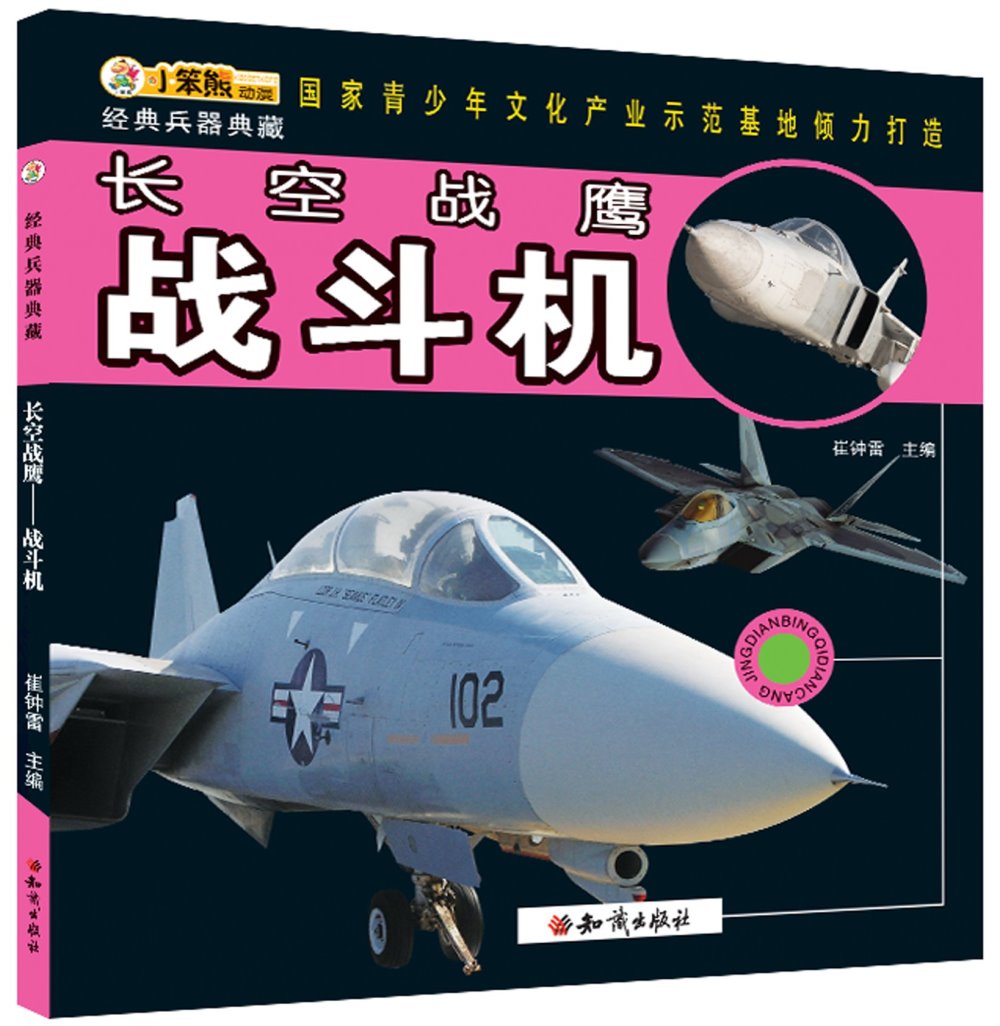 經典兵器典藏：長空戰鷹.戰斗機