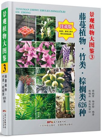 景觀植物大圖鑒（3）:藤蔓植物、竹類、棕櫚類626種
