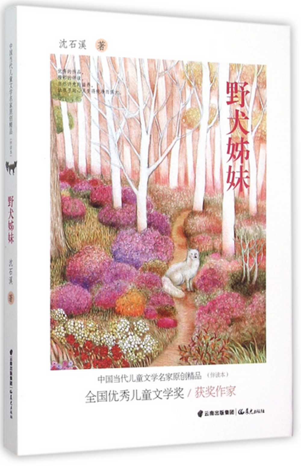 中國當代兒童文學名家原創精品伴讀本：野犬姊妹