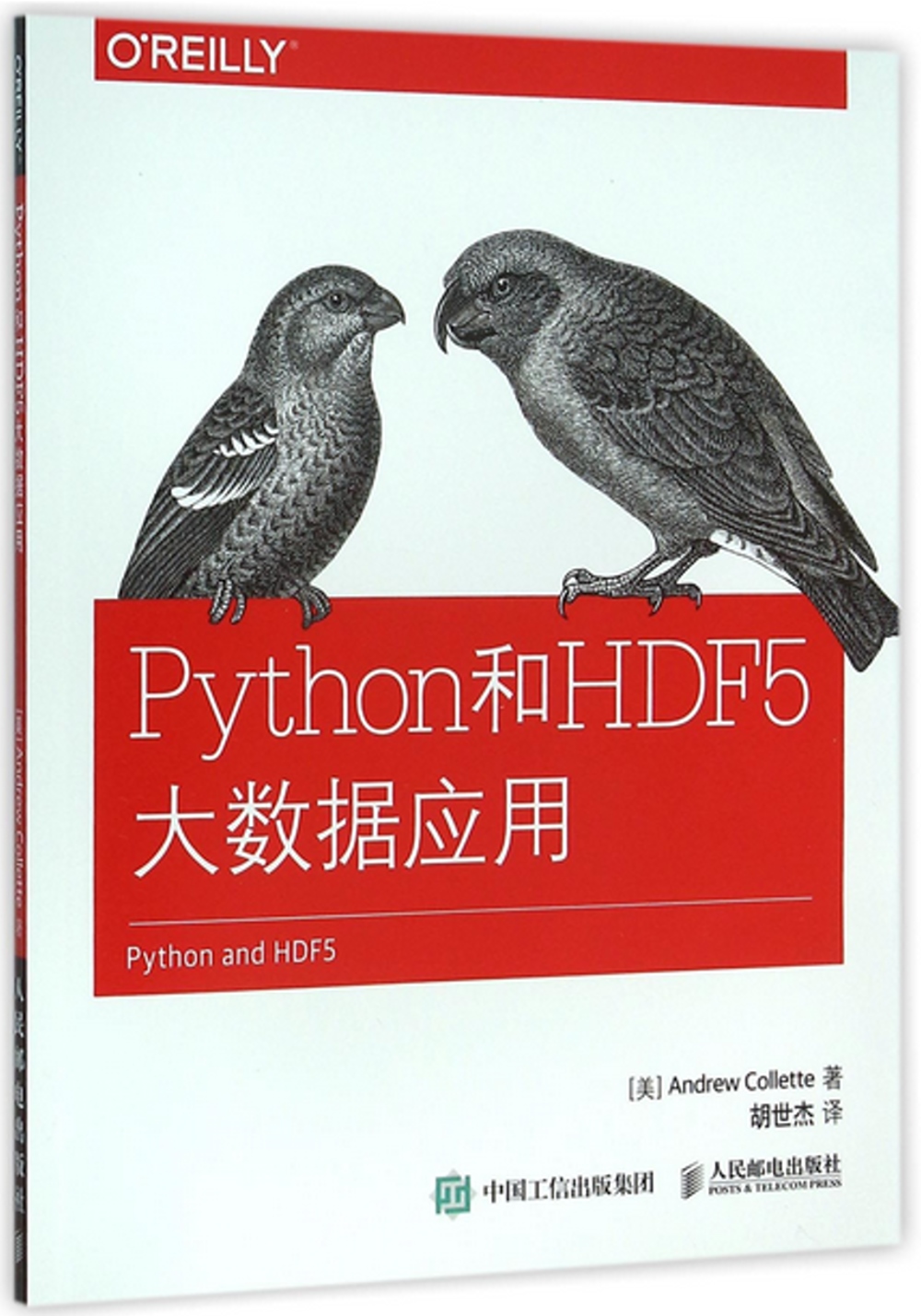 Python和HDF 5大數據應用