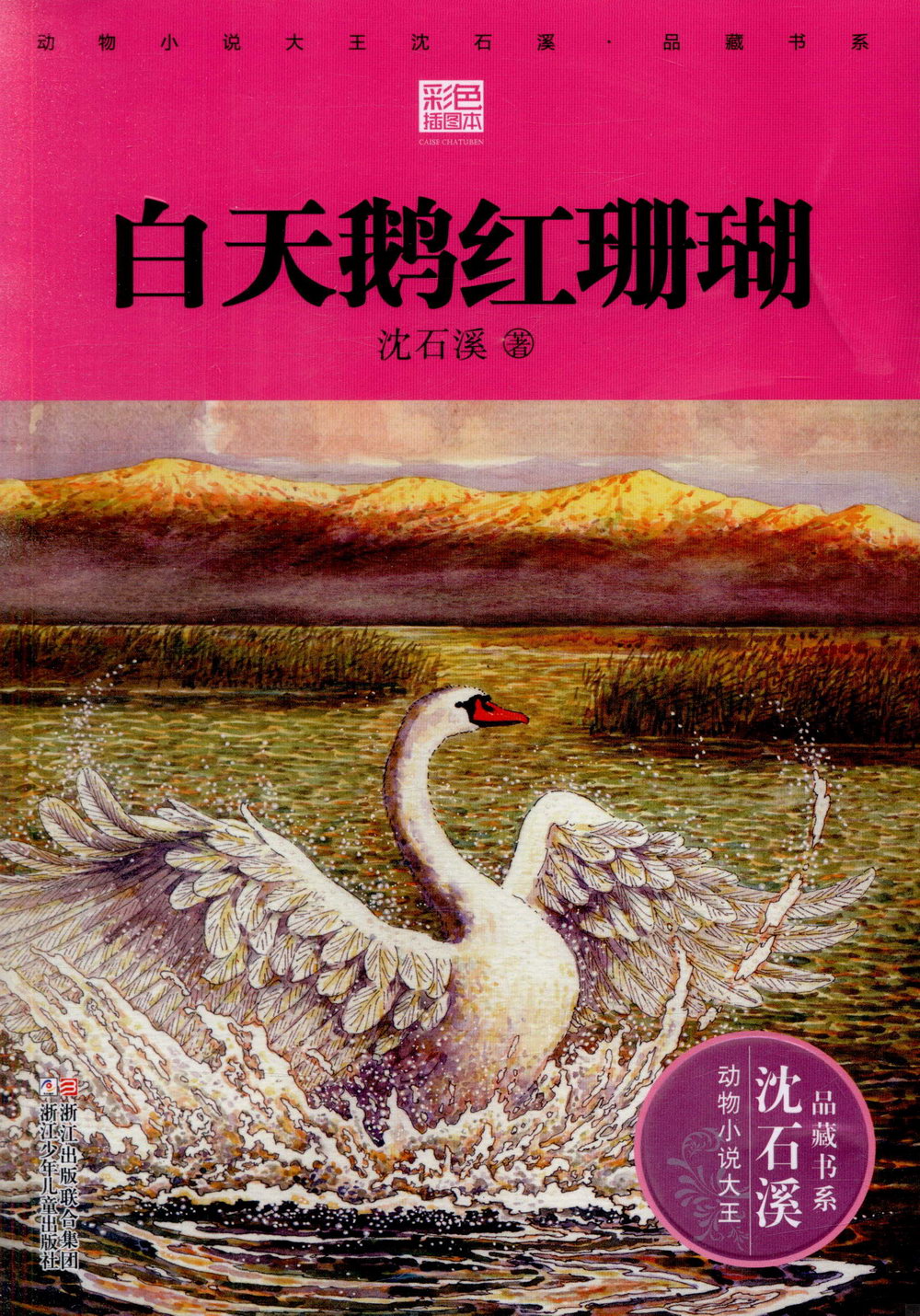 動物小說大王沈石溪·品藏書系：白天鵝紅珊瑚(彩色插圖本)