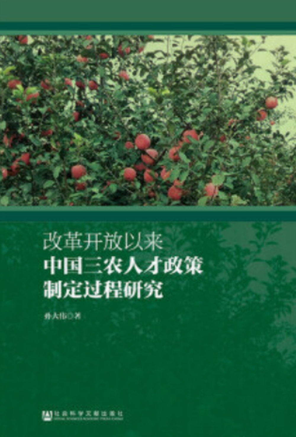 改革開放以來中國三農人才政策制定過程研究