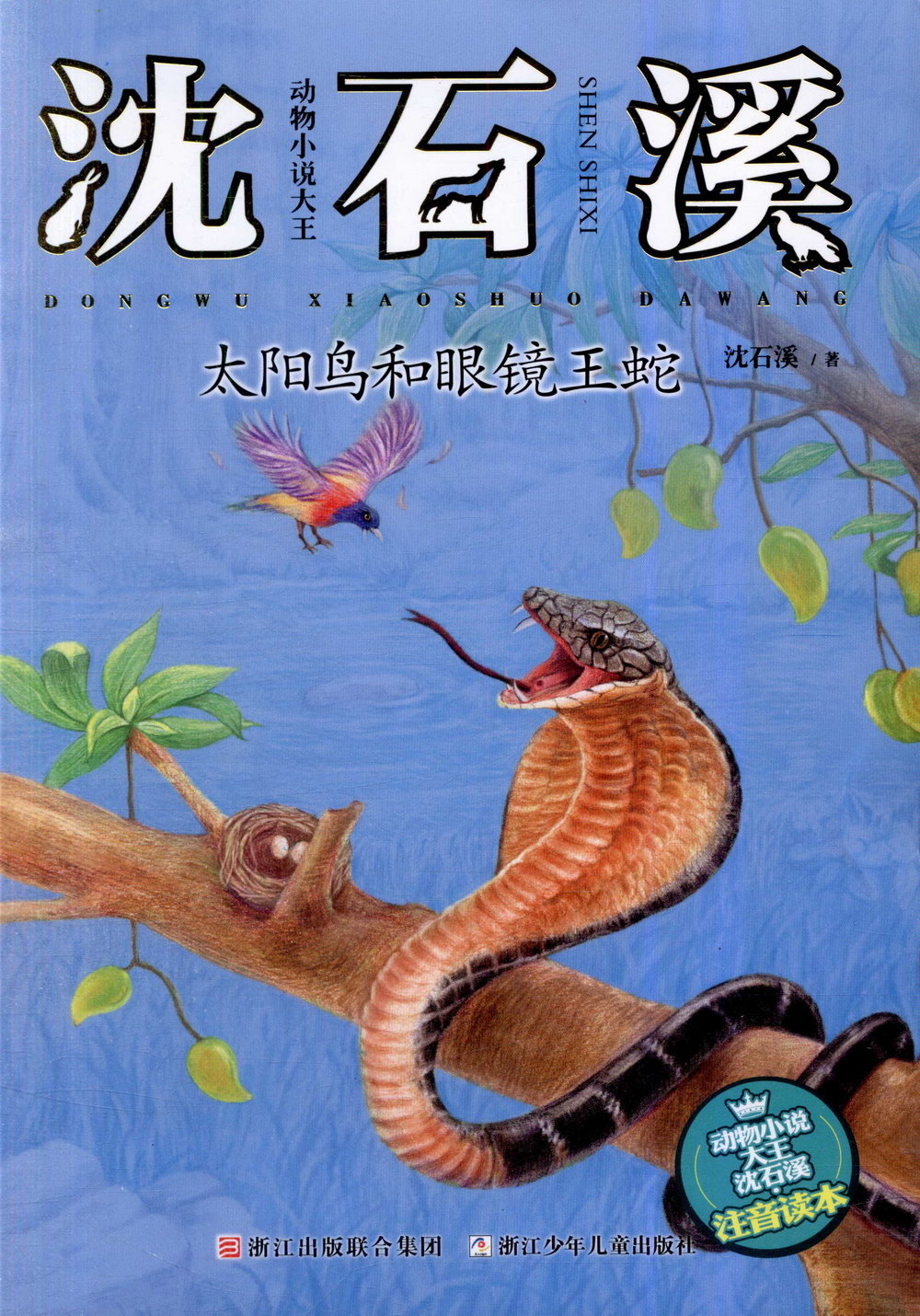 動物小說大王沈石溪·注音讀本：太陽鳥和眼鏡王蛇