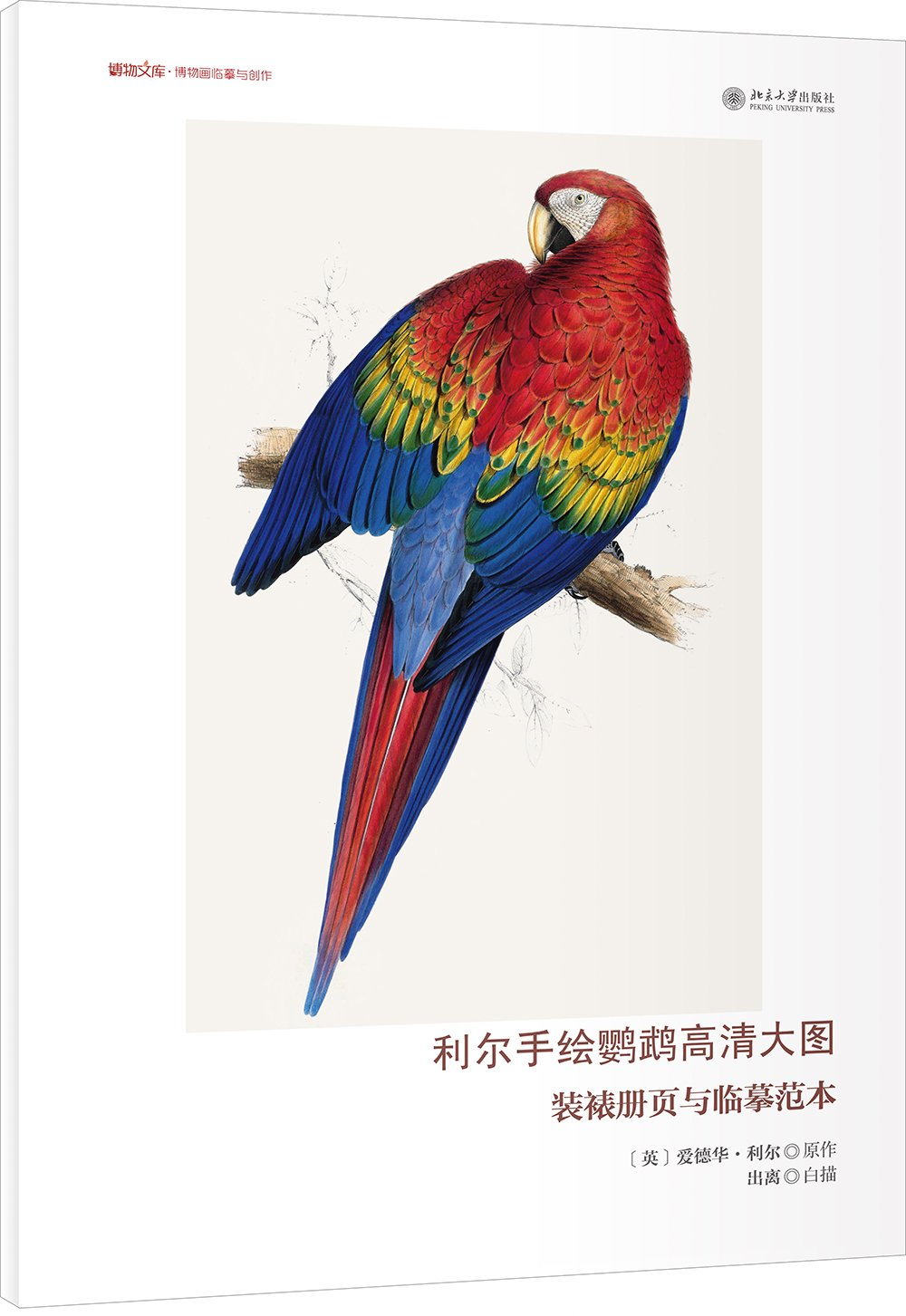 利爾手繪鸚鵡高清大圖：裝裱冊頁與臨摹范本