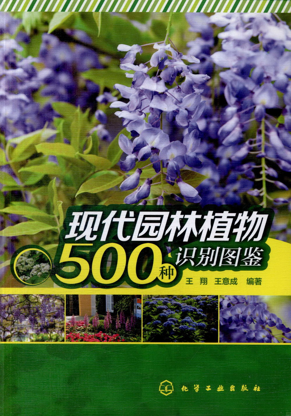 現代園林植物500種識別圖鑒