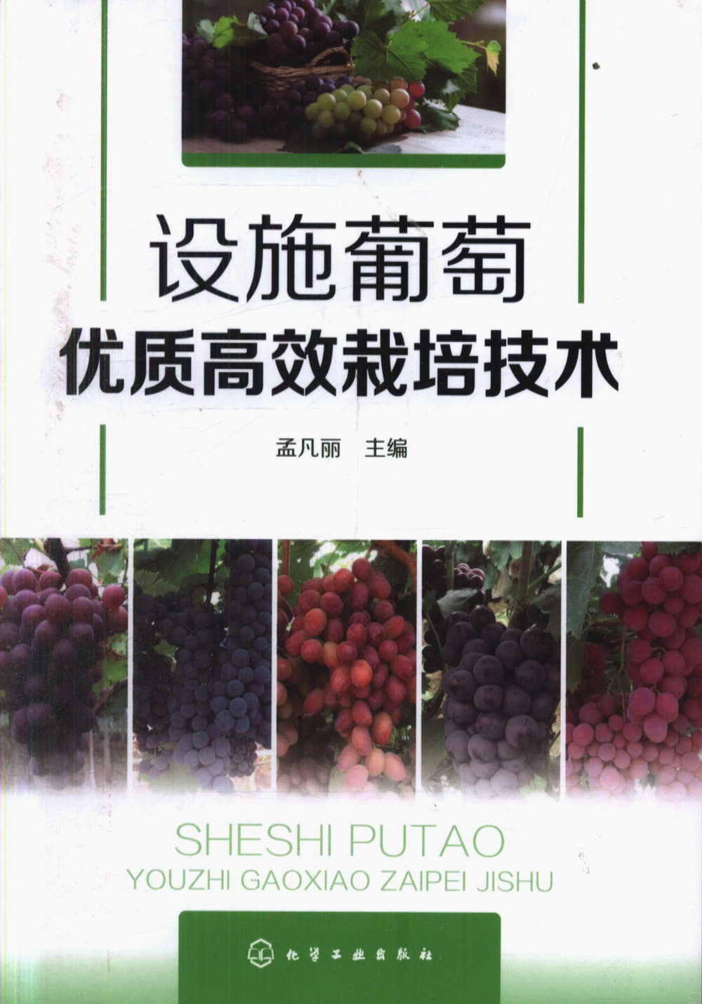 設施葡萄優質高效栽培技術
