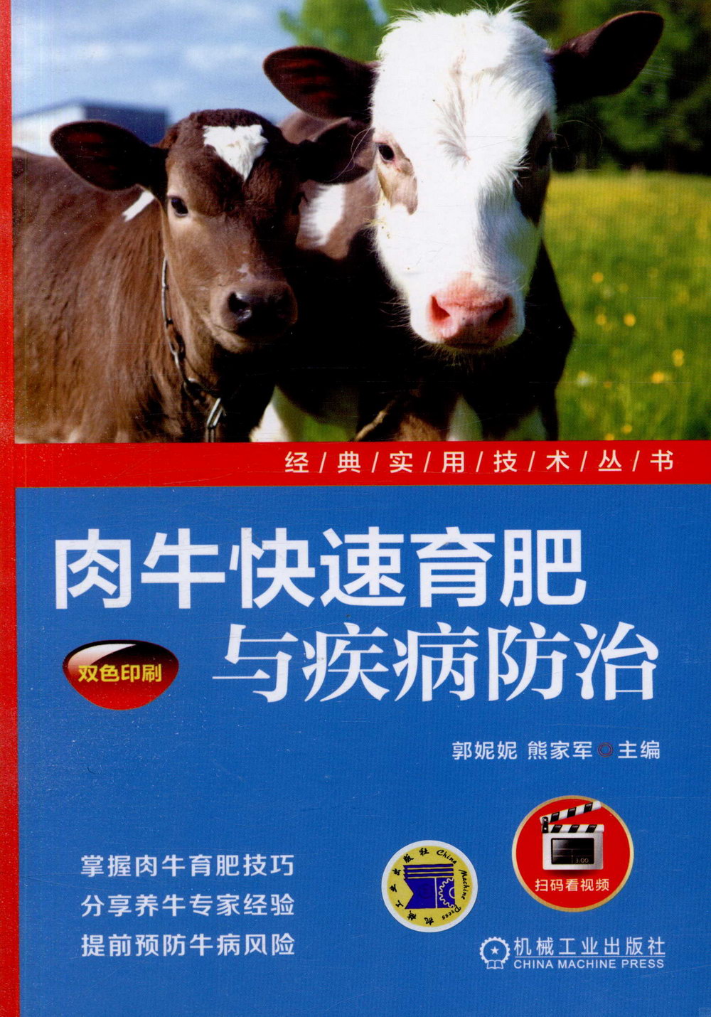 肉牛快速育肥與疾病防治