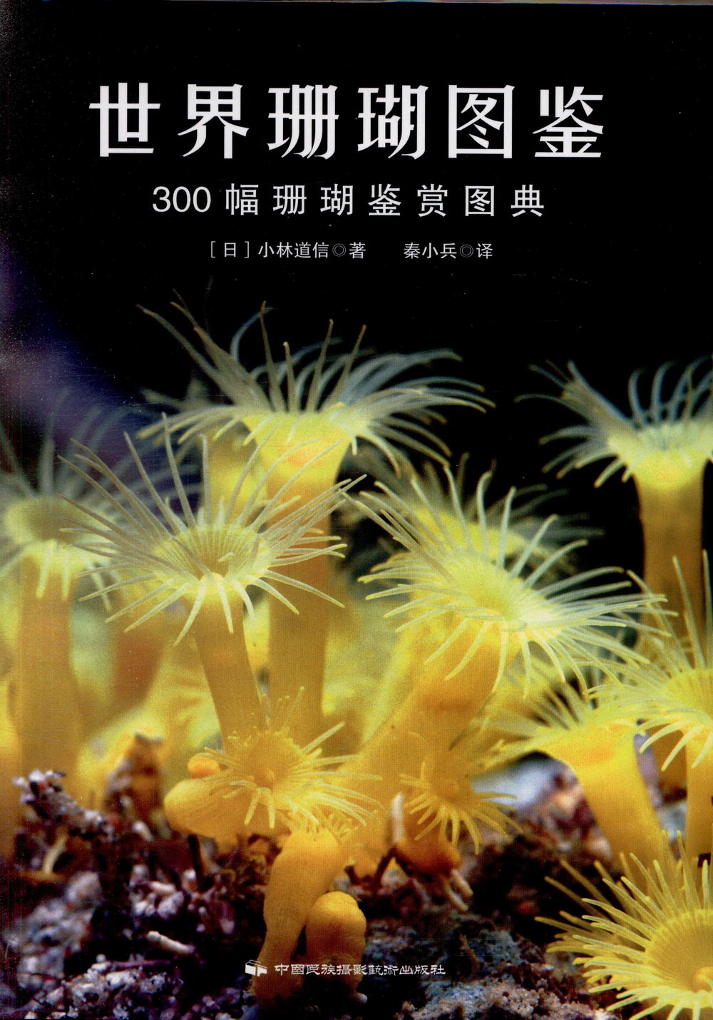 世界珊瑚圖鑒：300幅珊瑚鑒賞圖典