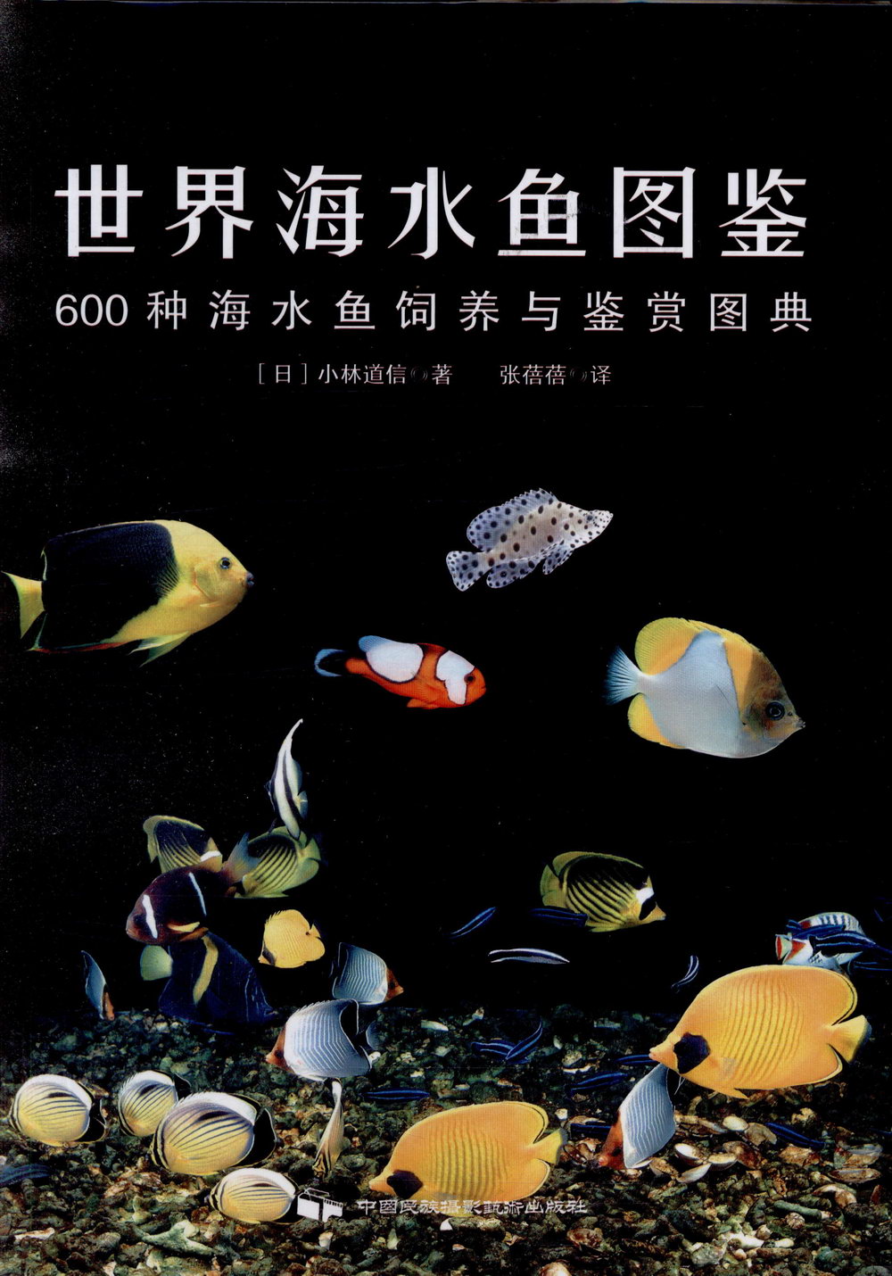 世界海水魚圖鑒：600種海水魚飼養與鑒賞圖典