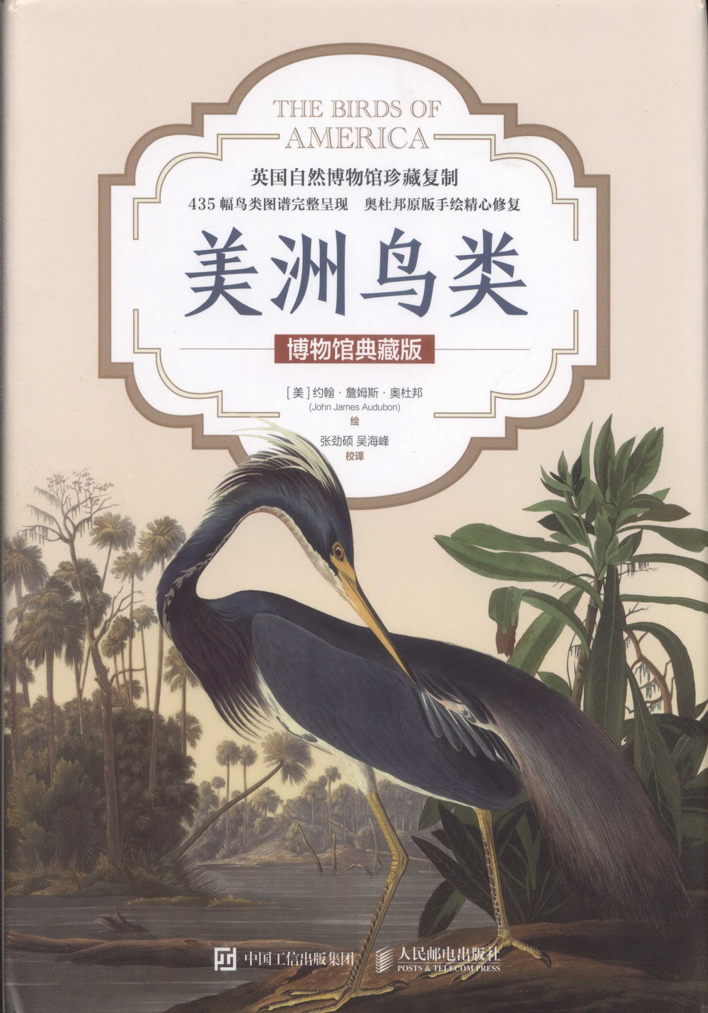 美洲鳥類 博物館典藏版