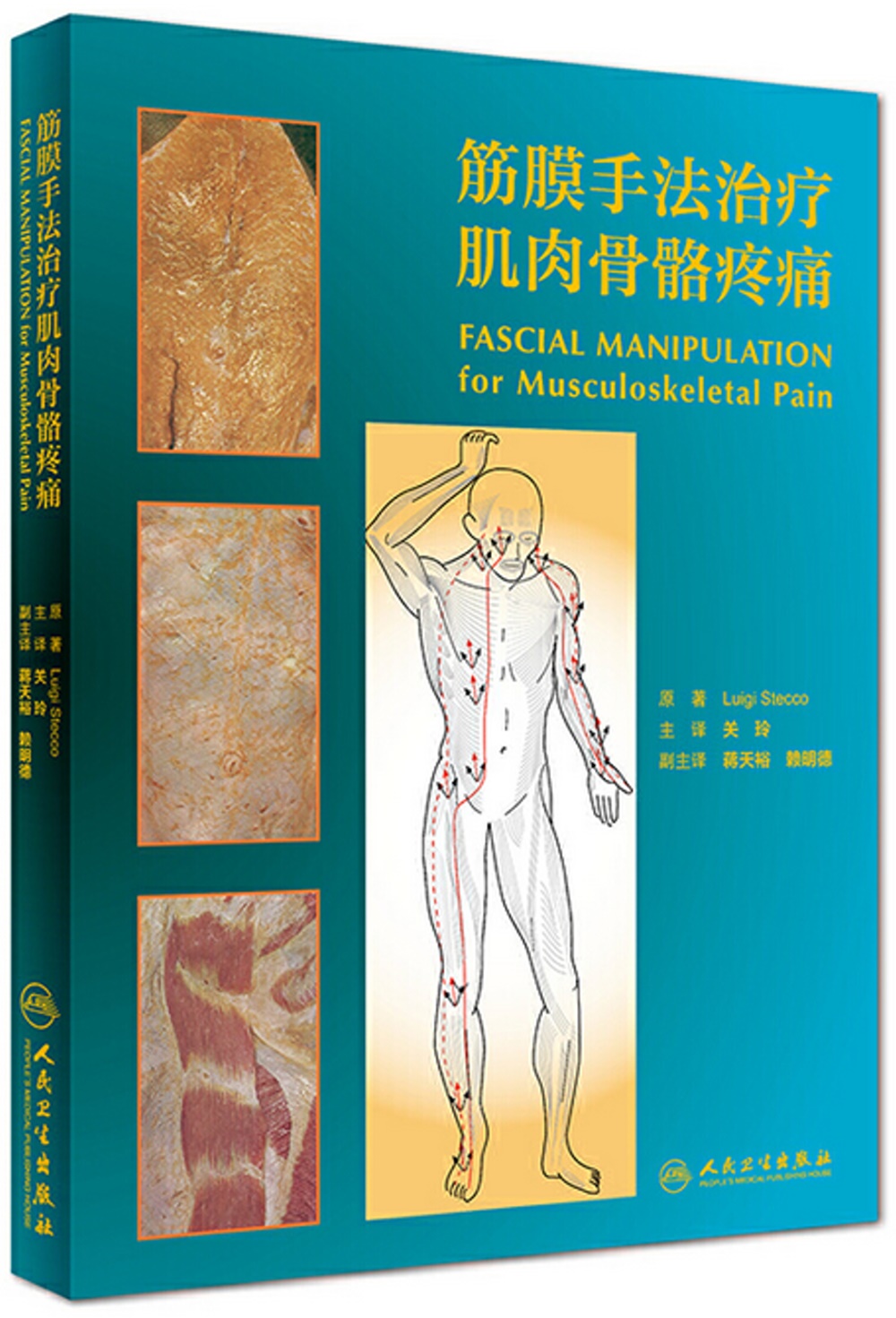 筋膜手法治療肌肉骨骼疼痛（翻譯版）