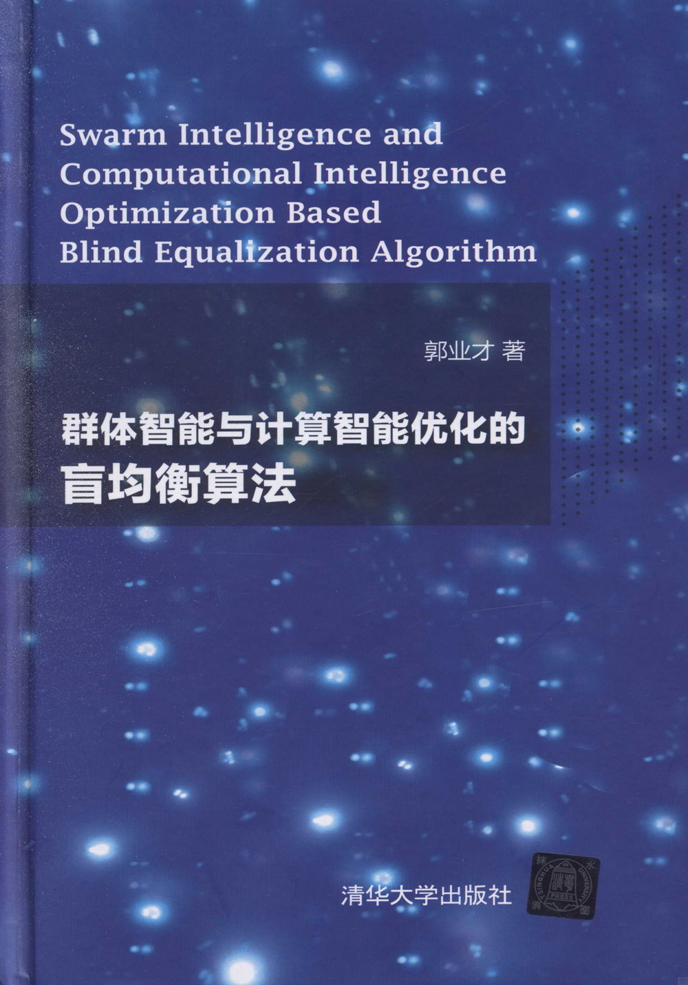 群體智能與計算智能優化的盲均衡演算法