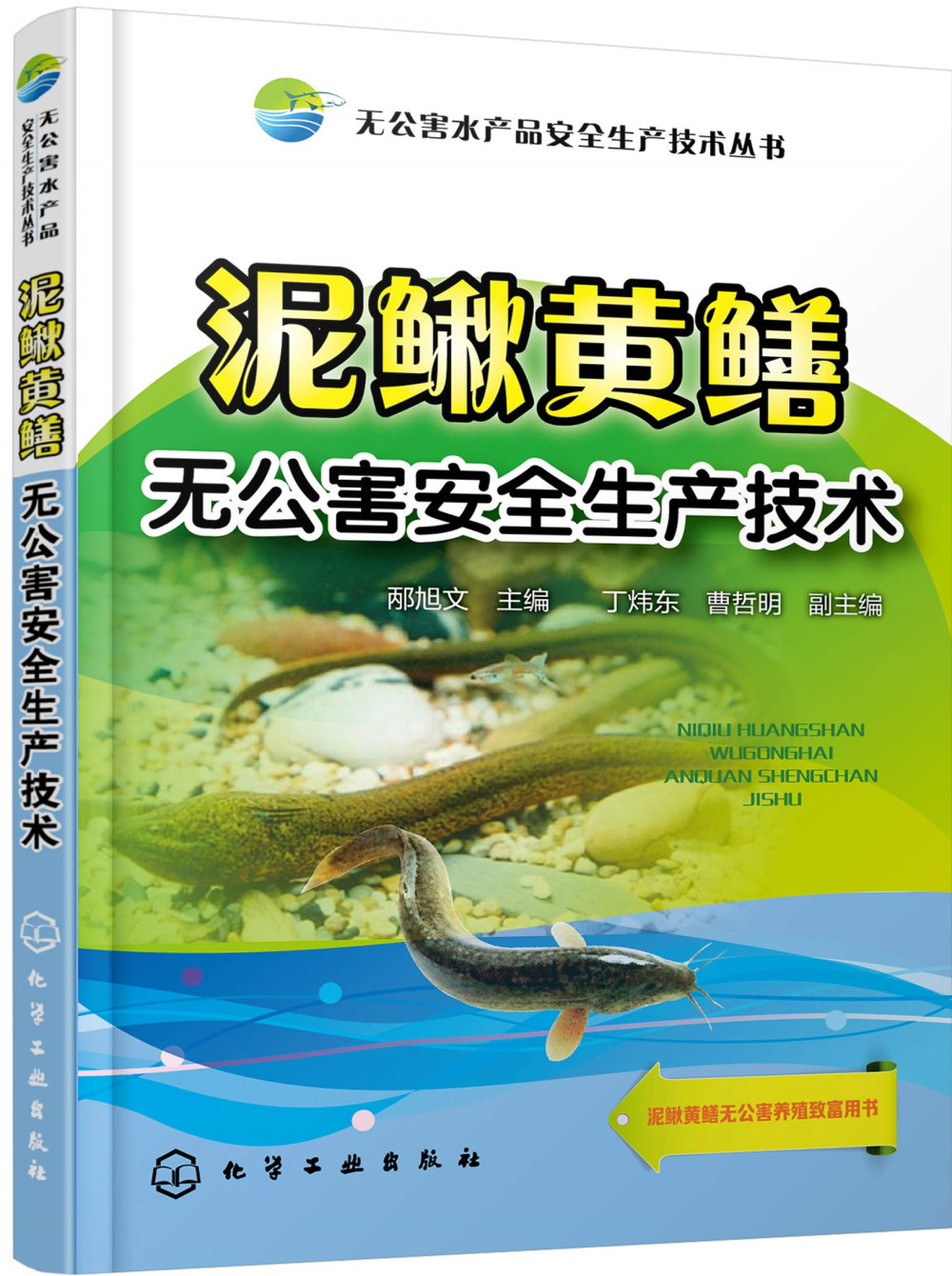 泥鰍黃鱔無公害安全生產技術