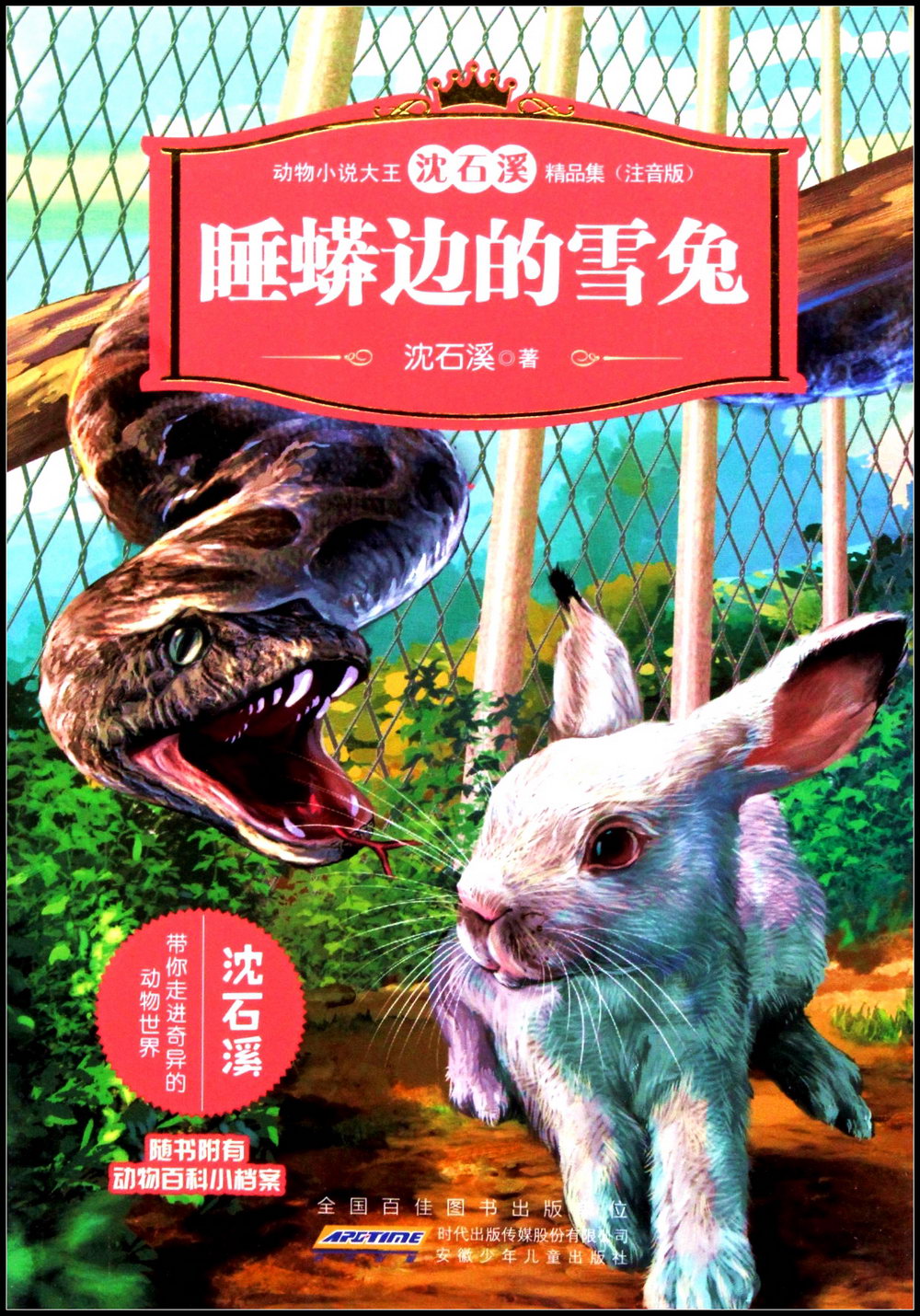 動物小說大王沈石溪精品集（注音版）：睡蟒邊的雪兔
