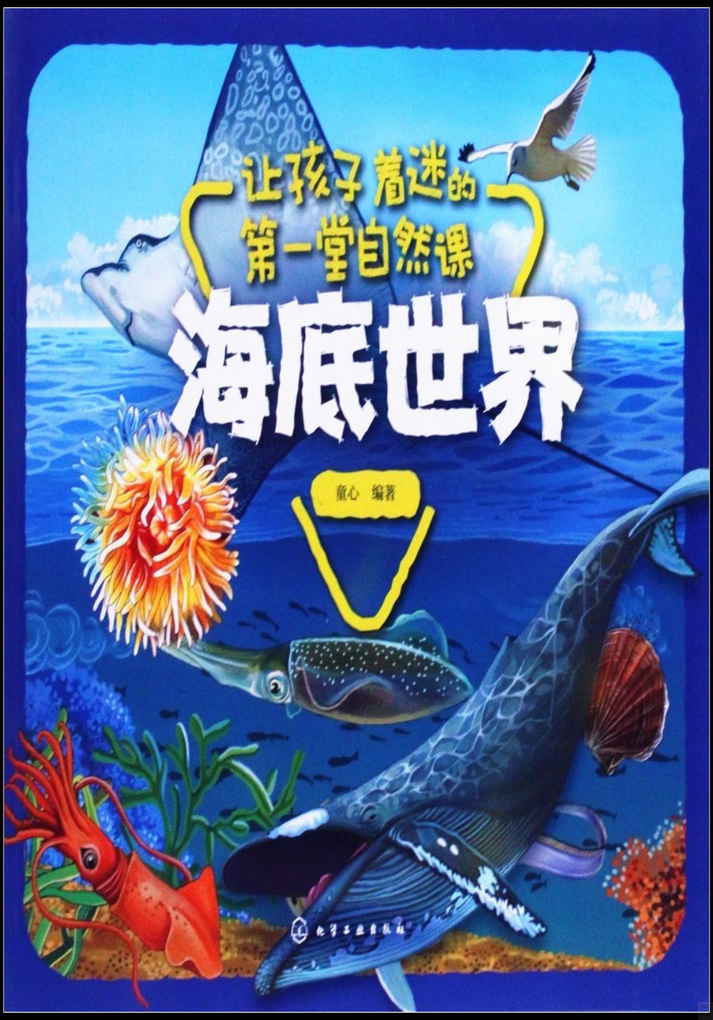 讓孩子著迷的第一堂自然課：海底世界