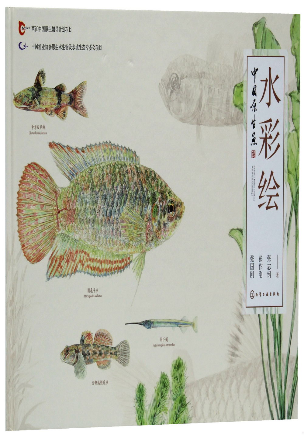 中國原生魚水彩繪