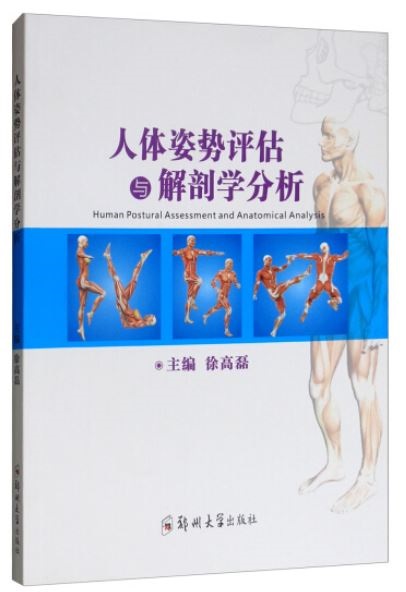 人體姿勢評估與解剖學分析