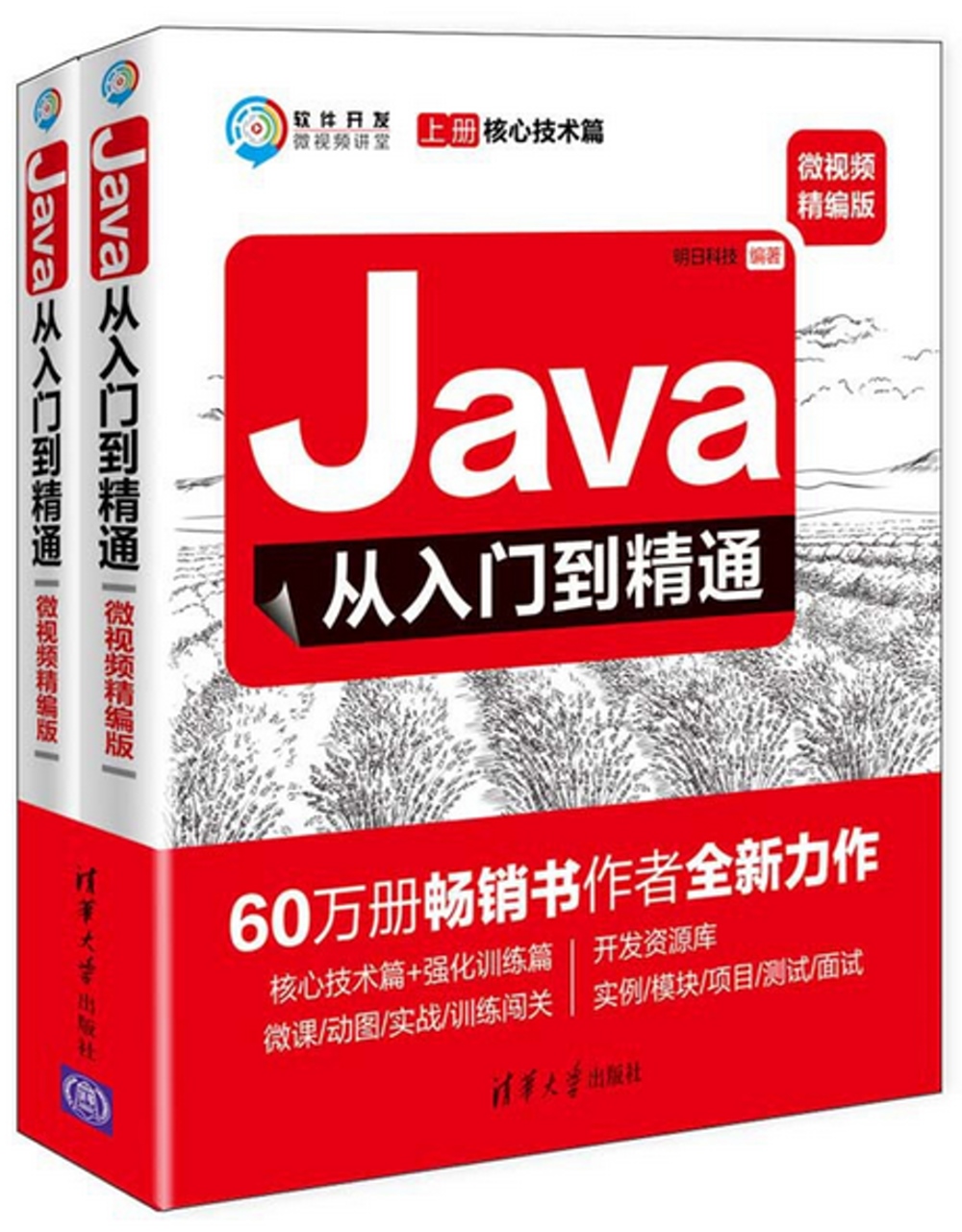Java從入門到精通（微視頻精編版）（全2冊）