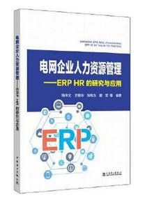 電網企業人力資源管理--ERP HR的研究與應用