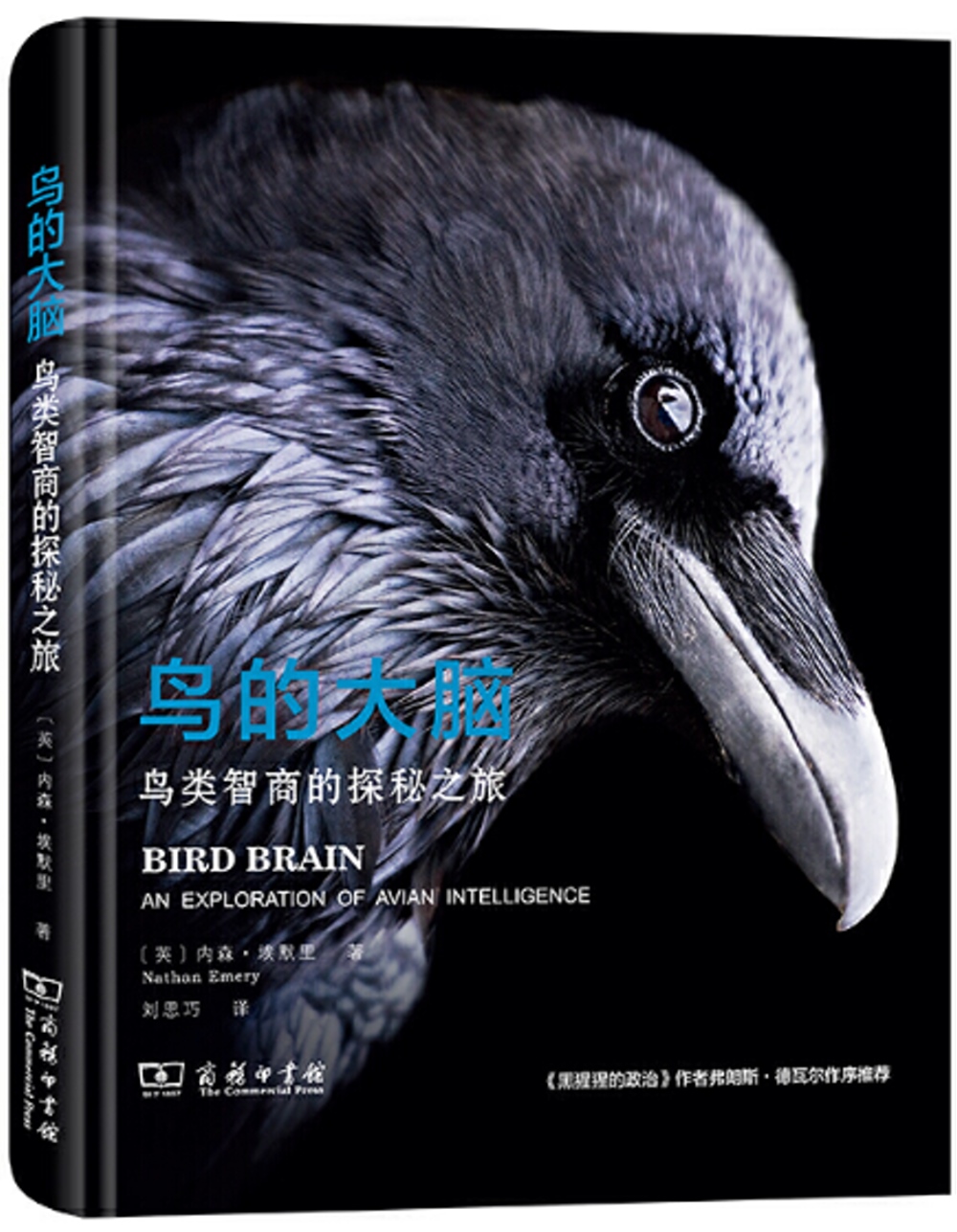 鳥的大腦：鳥類智商的探秘之旅