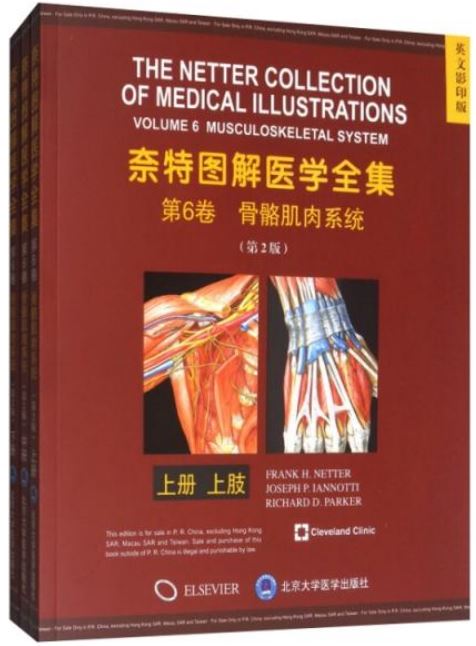 奈特圖解醫學全集（第6卷）：骨骼肌肉系統（第2版）（英文影印版 上中下）