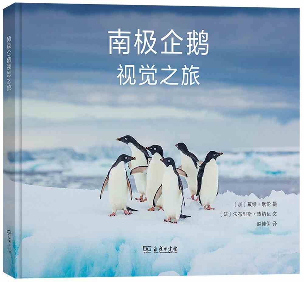 南極企鵝視覺之旅