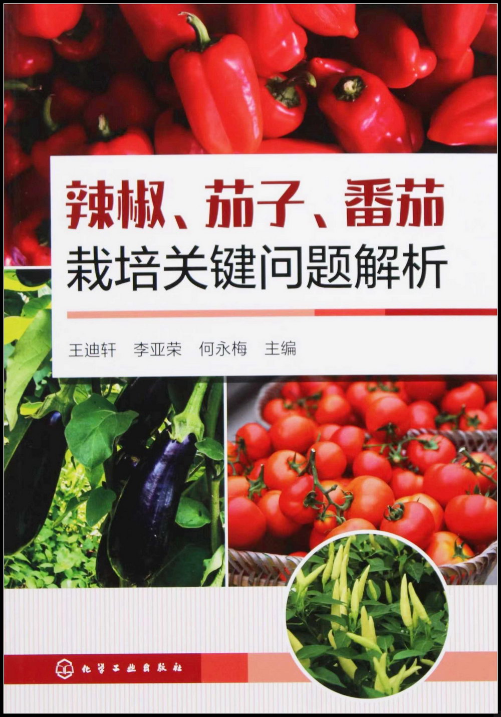 辣椒、茄子、番茄栽培關鍵問題解析
