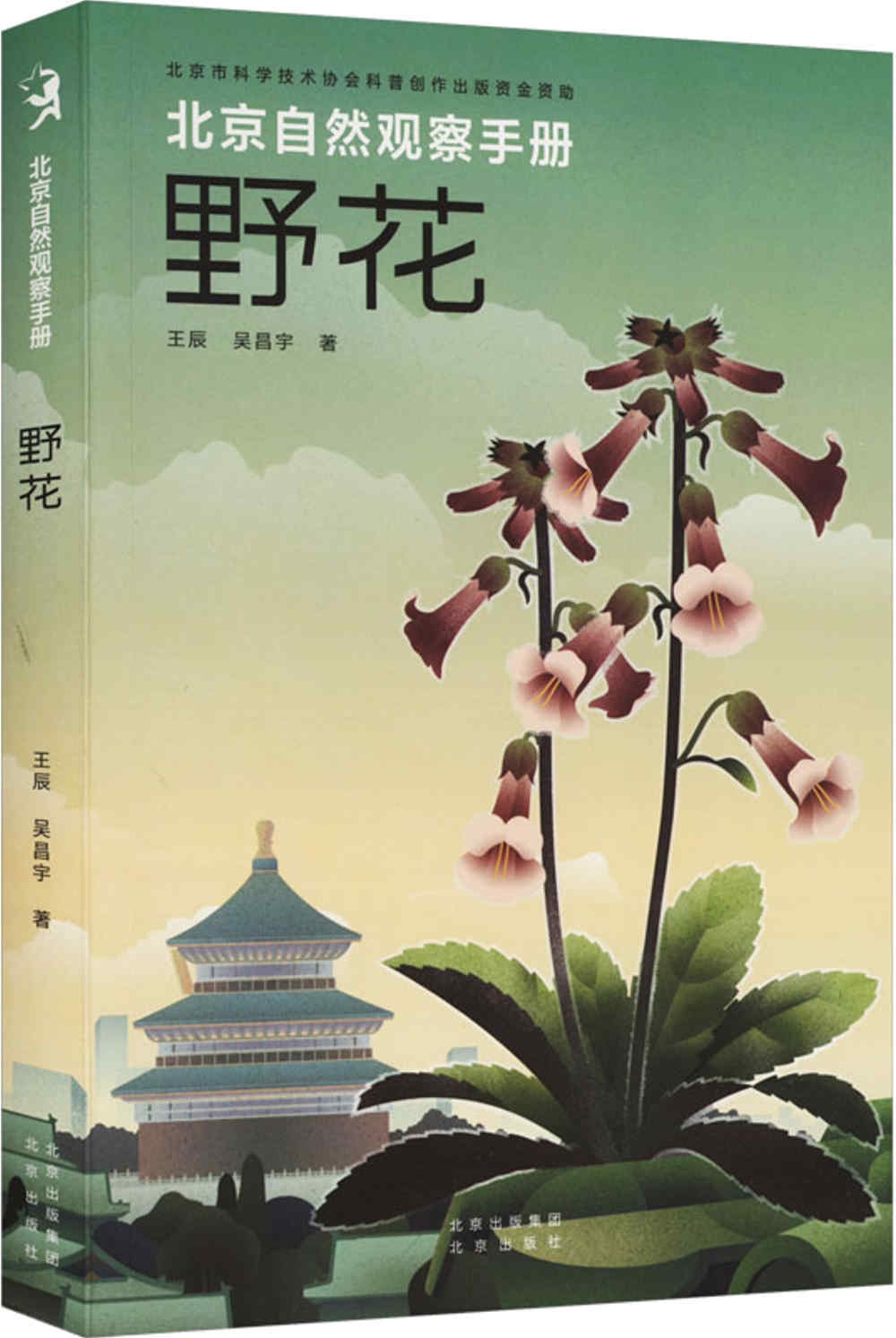 北京自然觀察手冊：野花
