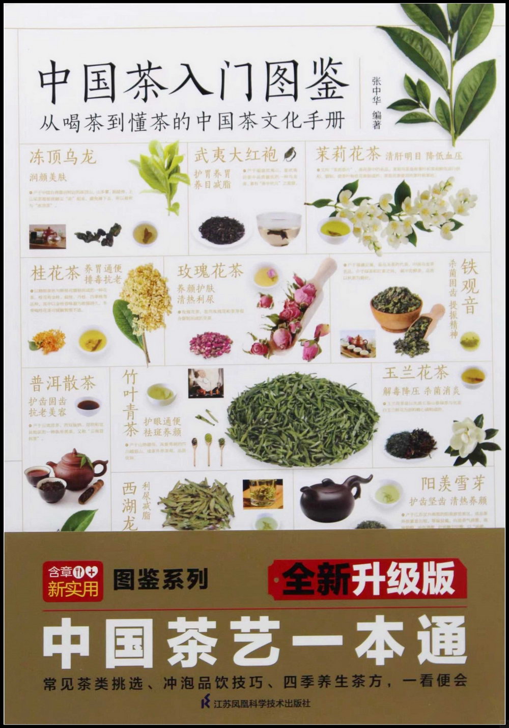 中國茶入門圖鑒：從喝茶到懂茶的中國茶文化手冊