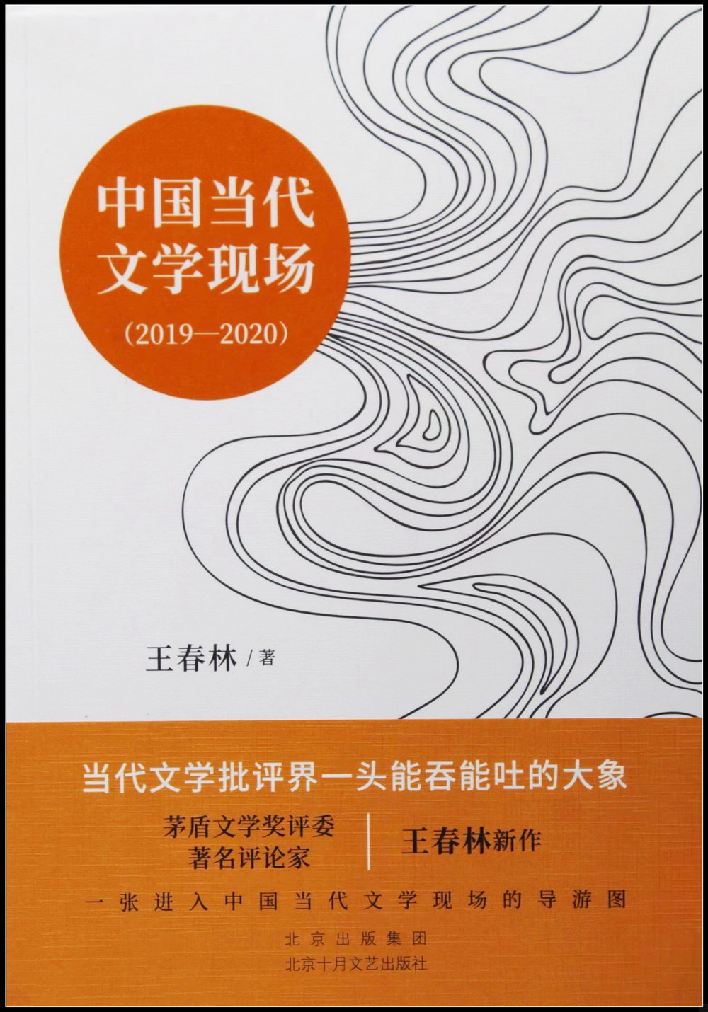 中國當代文學現場（2019-2020）