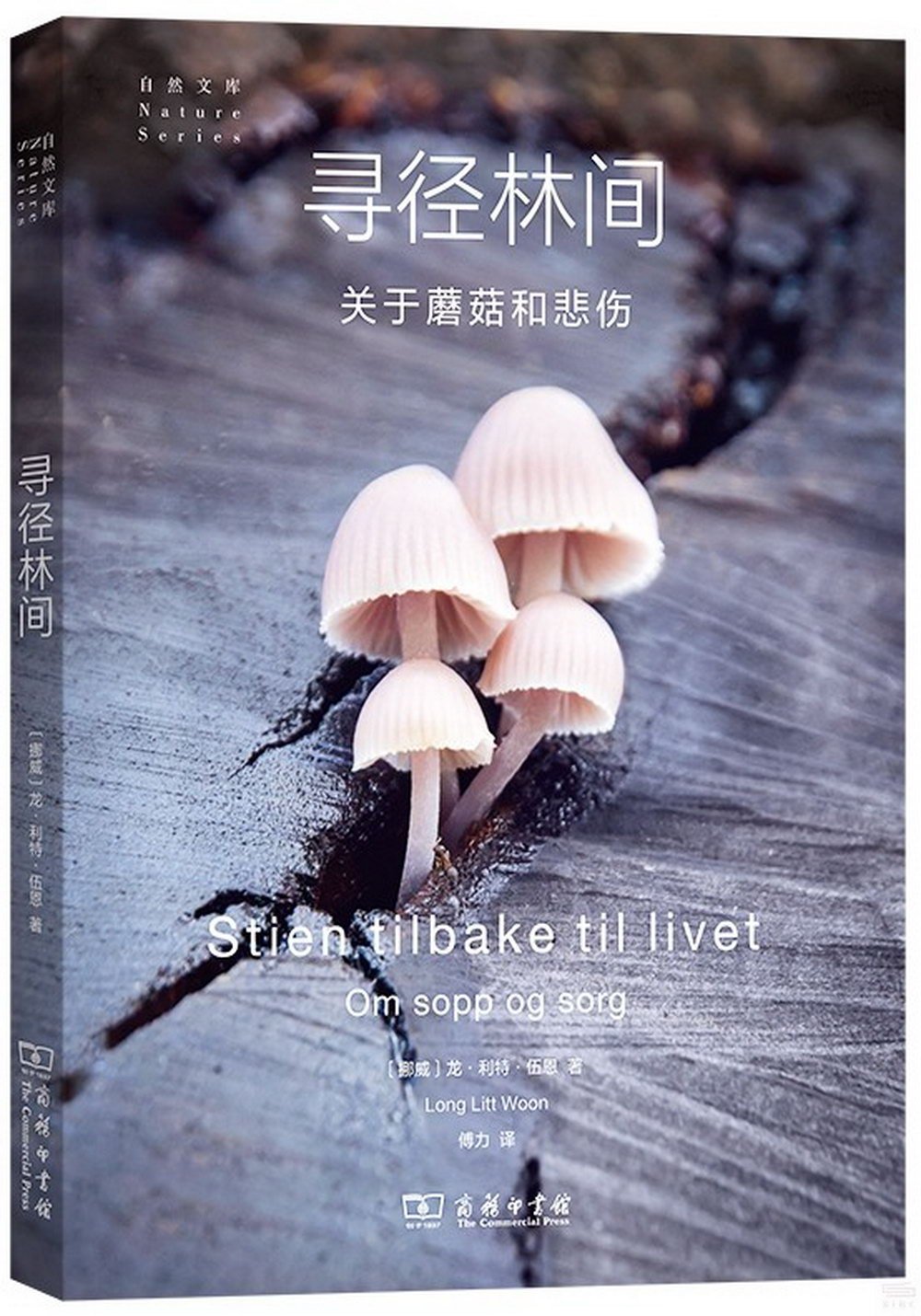 尋徑林間：關於蘑菇和悲傷