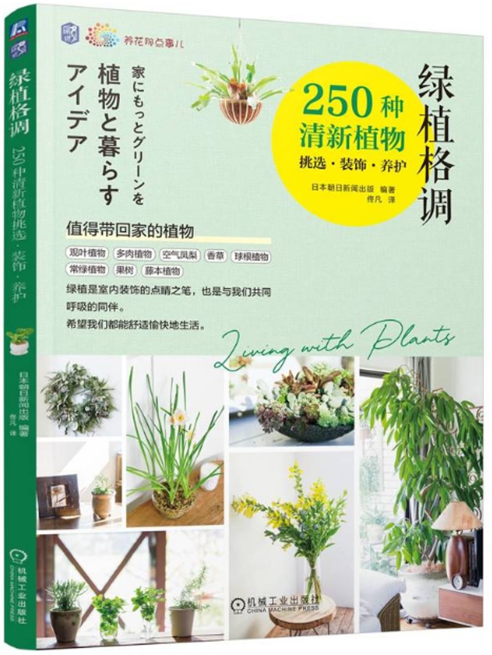綠植格調：250種清新植物挑選·裝飾·養護