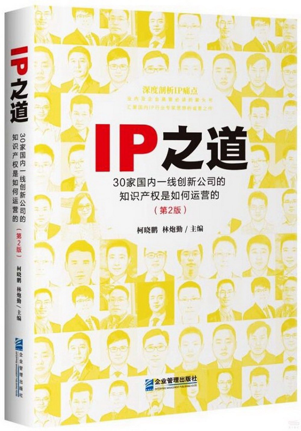 IP之道：30家國內一線創新公司的知識產權是如何運營的（第2版）