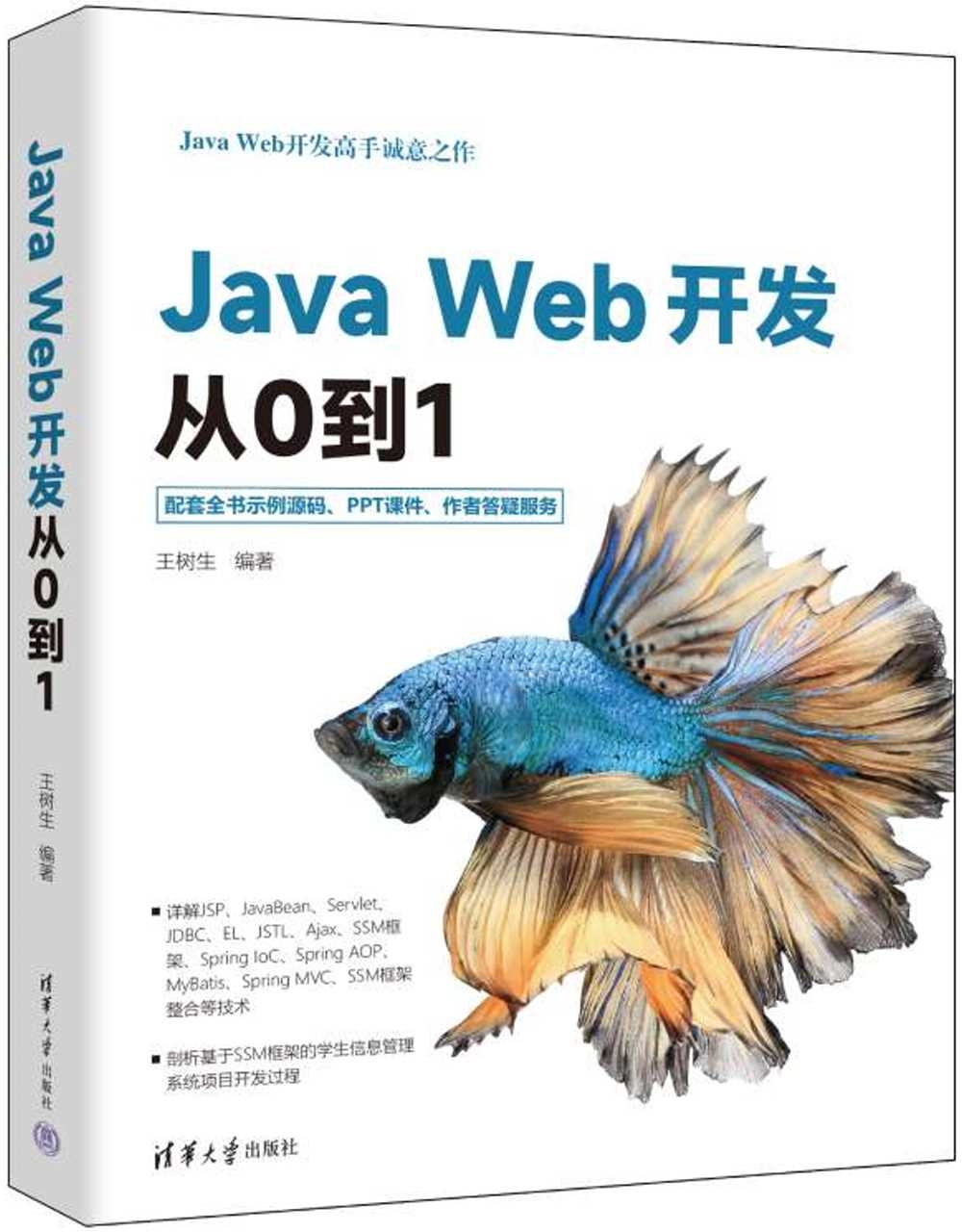 Java Web開發從0到1