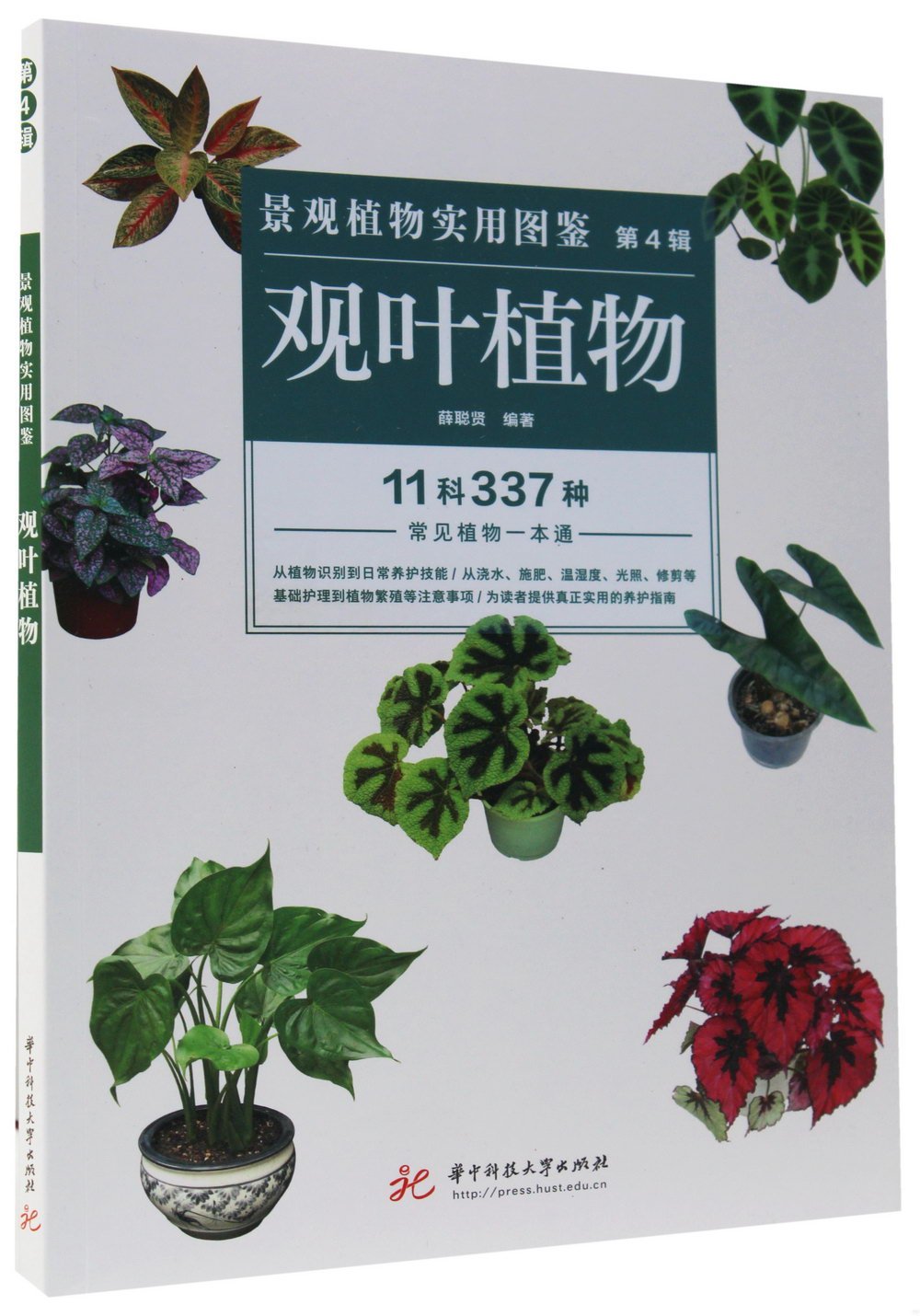 景觀植物實用圖鑒（第4輯）：觀葉植物