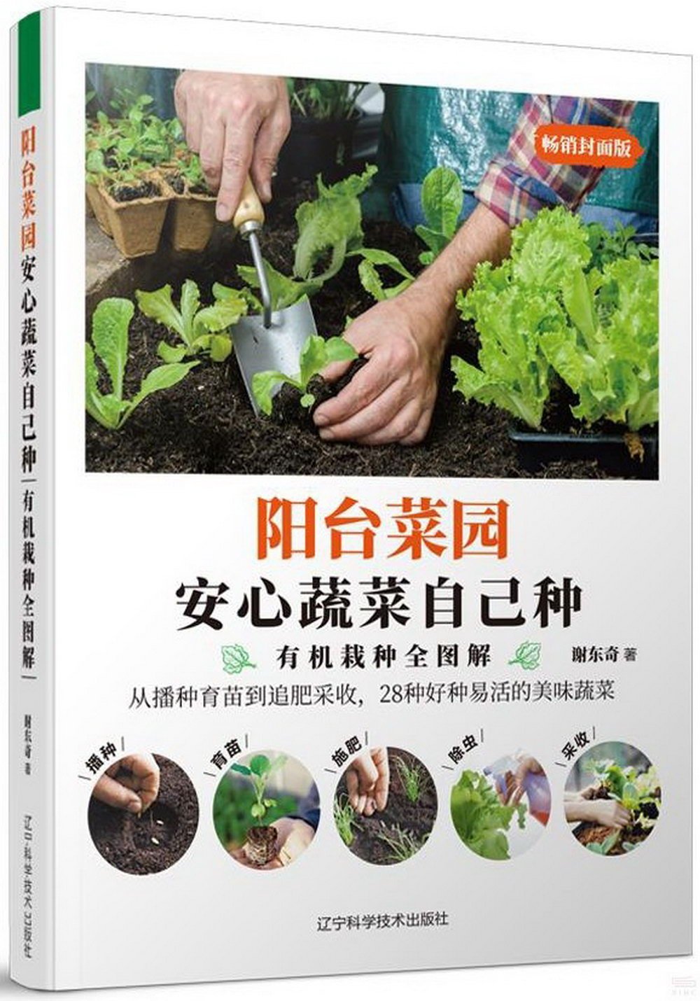 陽台菜園：安心蔬菜自己種