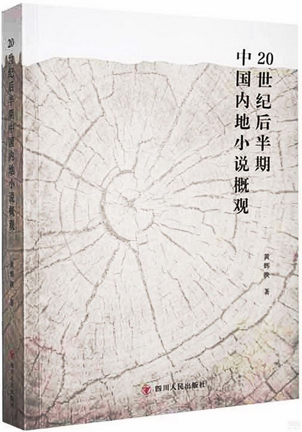 20世紀後半期中國內地小說概觀