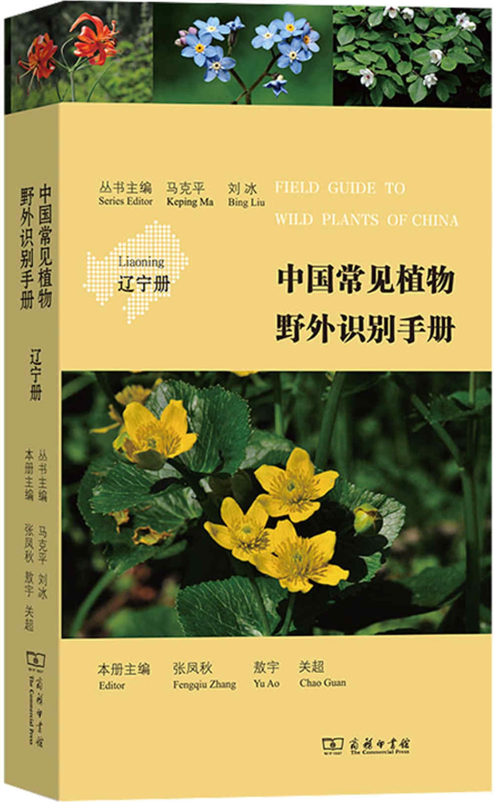 中國常見植物野外識別手冊--遼寧冊