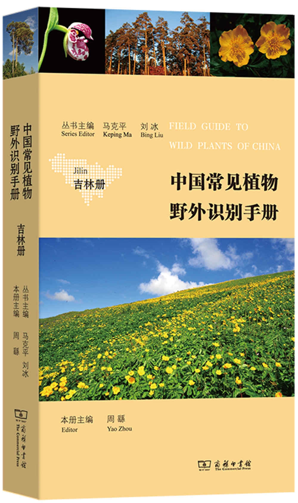 中國常見植物野外識別手冊--吉林冊
