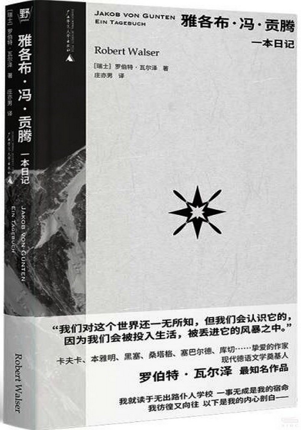 雅各布·馮·貢騰：一本日記