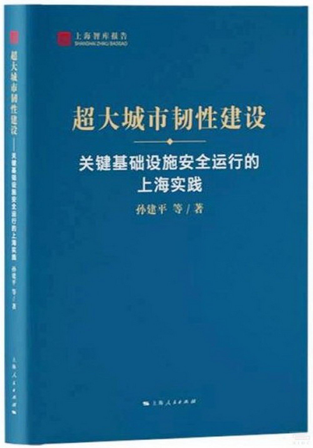 超大城市韌性建設：關鍵基礎設施安全運行的上海實踐